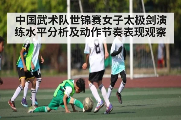 中国武术队世锦赛女子太极剑演练水平分析及动作节奏表现观察